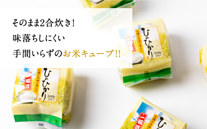 おすすめ オススメ こだわり ギフト 人気 特産品 贈り物 ギフト  無洗米 お