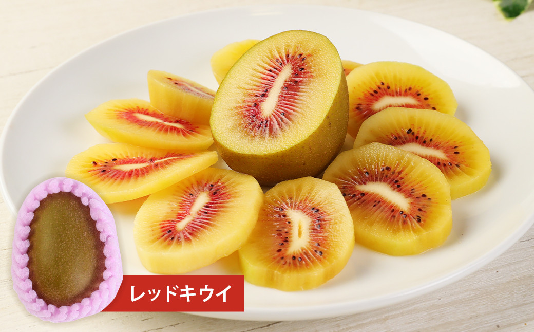 益城町産 特選 キウイ 3種 詰め合わせ 約1.8kg 14～16玉 （各種4玉～6玉）