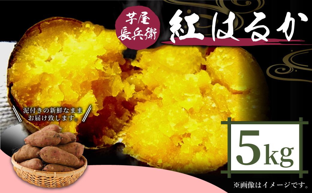 【2022年11月下旬発送開始】 芋屋長兵衛 紅はるか 5kg セット 泥付き（2S～Lサイズ）