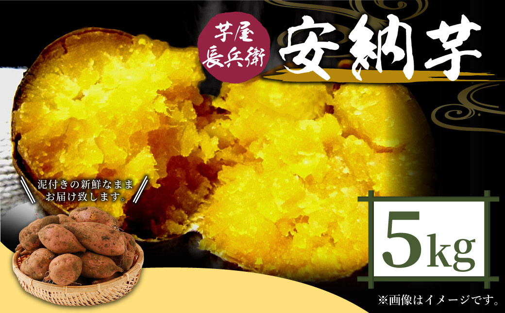 芋屋長兵衛 安納芋 5kg セット 泥付き（2S～Lサイズ）
