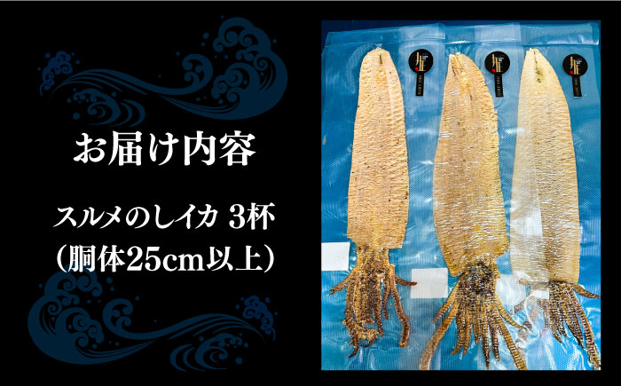いか イカ 烏賊 スルメイカ おつまみ ツマミ 酒のあて おやつ 魚介 海鮮 海