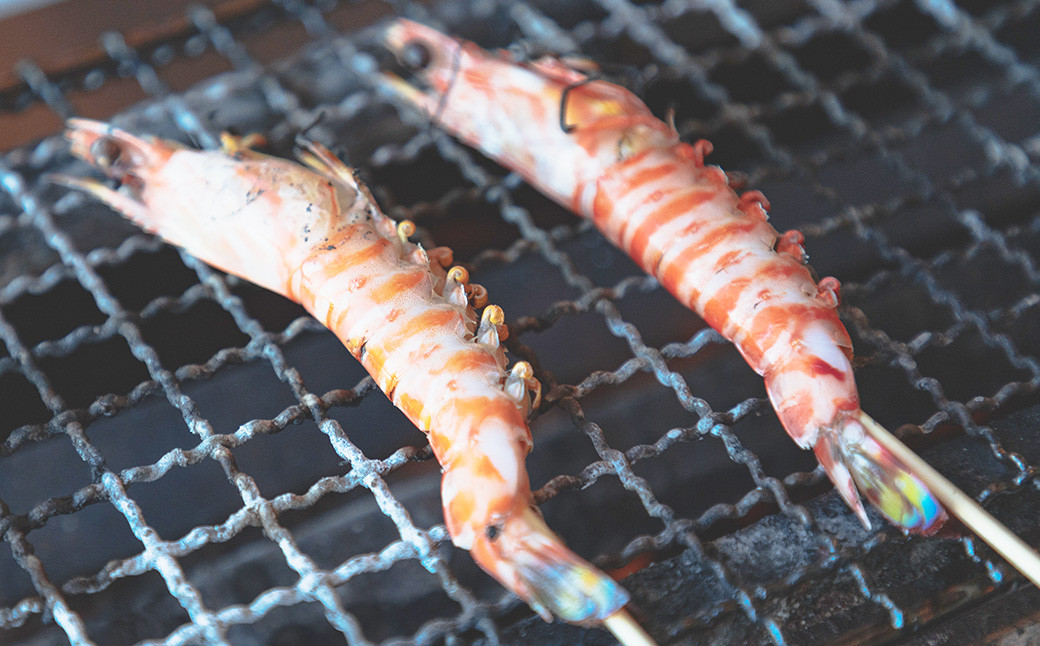 【活きたままお届け！】熊本天草の車海老 800g （22～28尾）