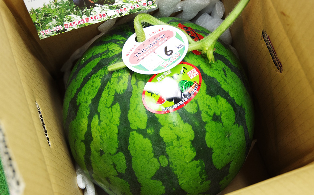 【すいかの里植木】春の大玉すいか 1玉入 すいか 熊本産 果物 道の駅