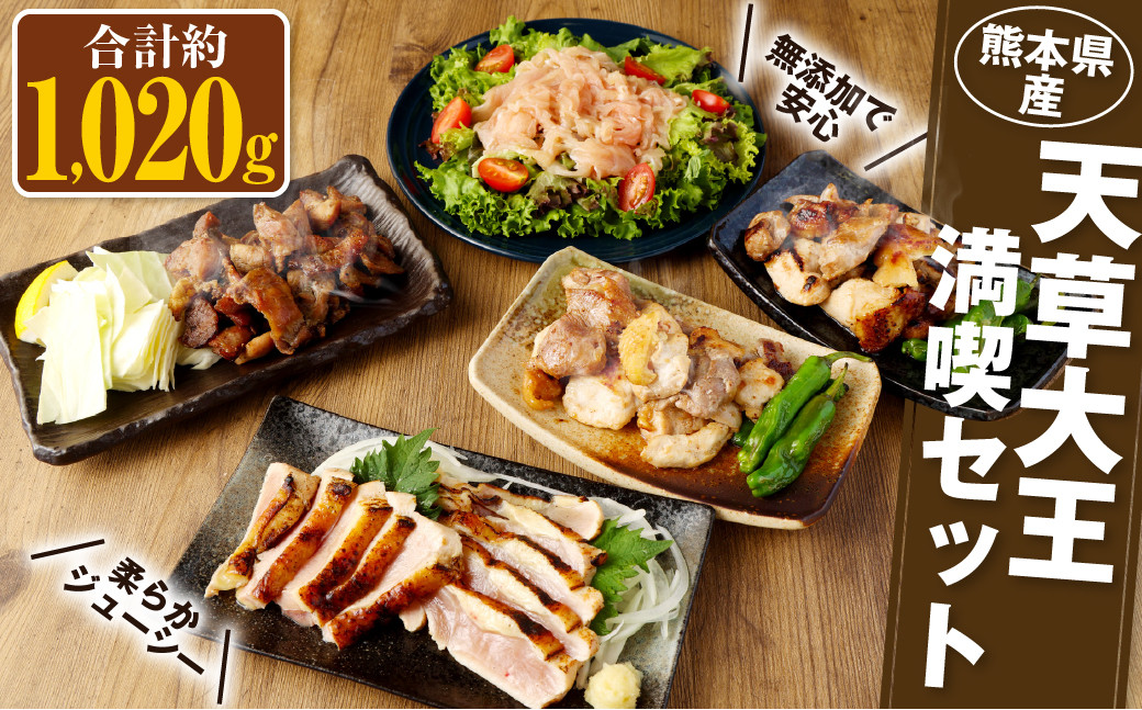 天草大王 満喫セット6種