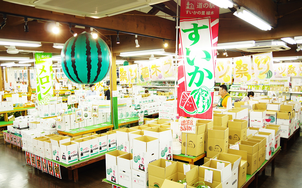 【すいかの里植木】春の大玉すいか 1玉入 すいか 熊本産 果物 道の駅