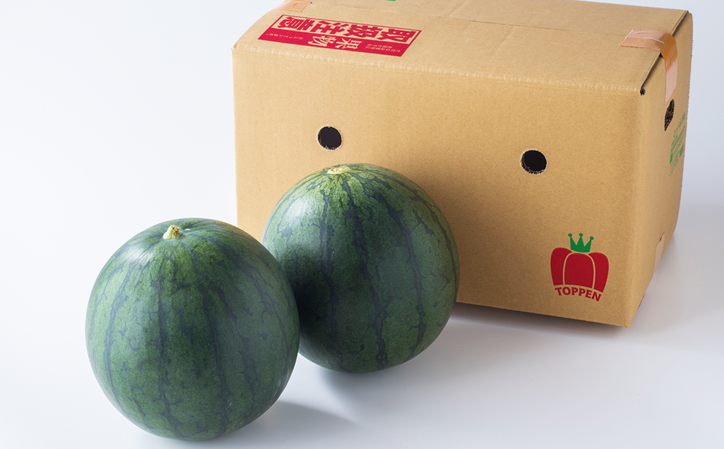 熊本県産 小玉すいか 2玉 