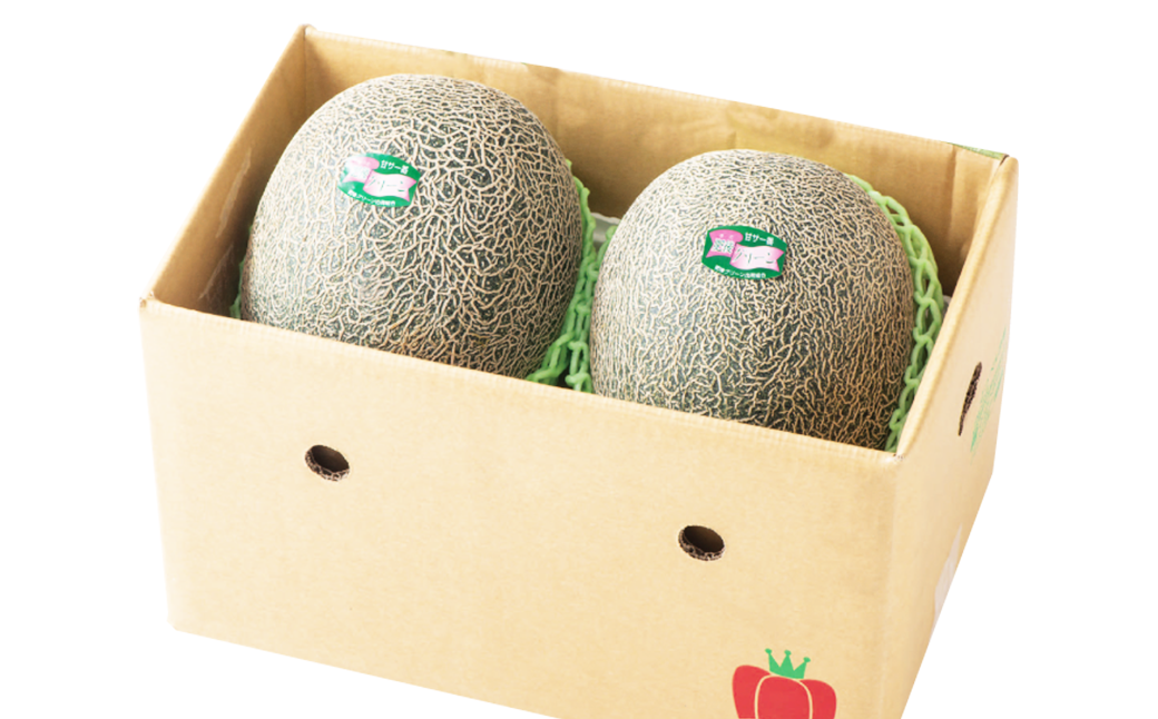 熊本県産 肥後グリーンメロン 2玉