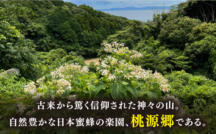 おすすめ オススメ 人気  贈り物  蜂蜜 はちみつ ハチミツ ハニー