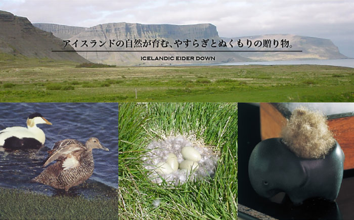 おすすめ オススメ こだわり ギフト 人気 特産品 贈り物 ギフト  羽毛布団 