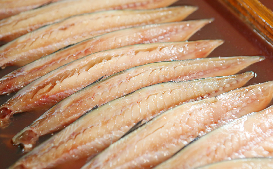 【12ヶ月定期便】 越田の干物 大さば 3枚入×1パック 合計36枚