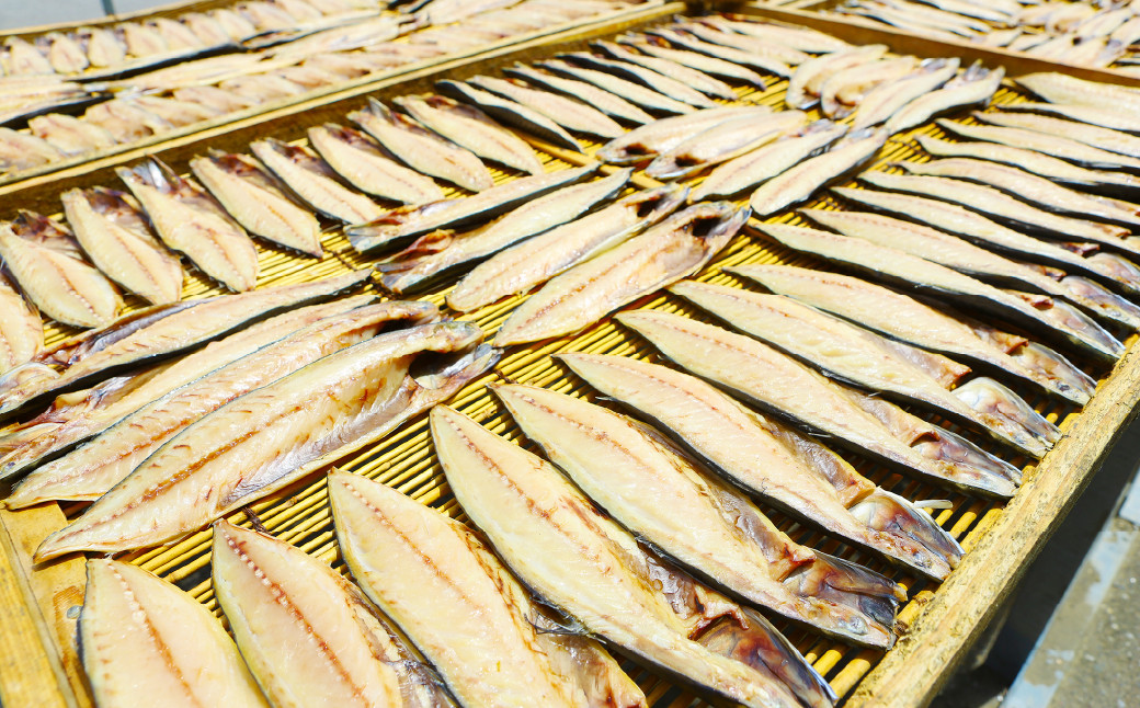 【12ヶ月定期便】越田の干物 さば(1枚入)×8パック 干物 鯖 さば