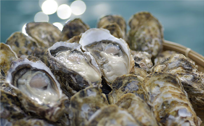 牡蠣 牡蛎 カキ かき カキ小屋 利用券 体験 チケット 旅行