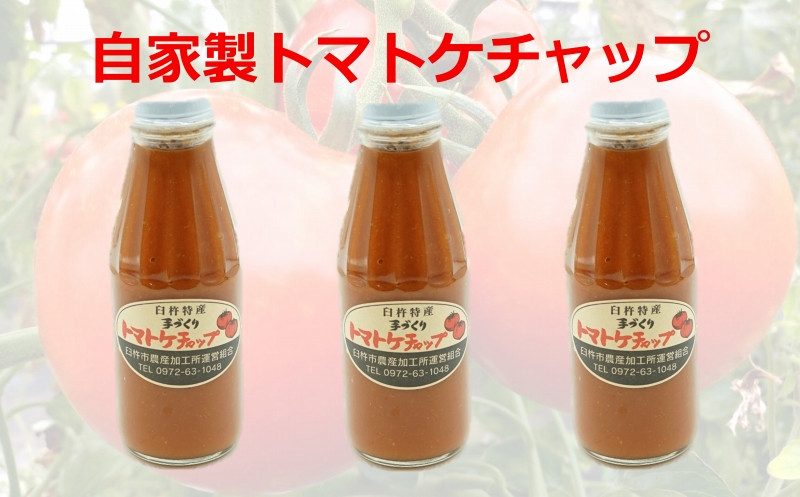 自家製トマトケチャップ　３本セット