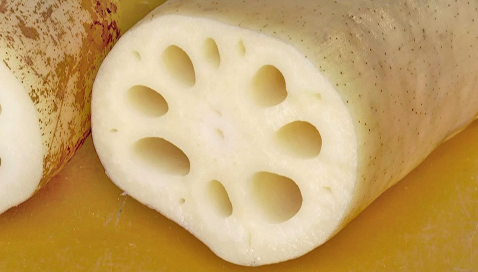 きめ細かく白い鴨川サラダレンコンは「れんこんの女王様」とも呼ばれています。