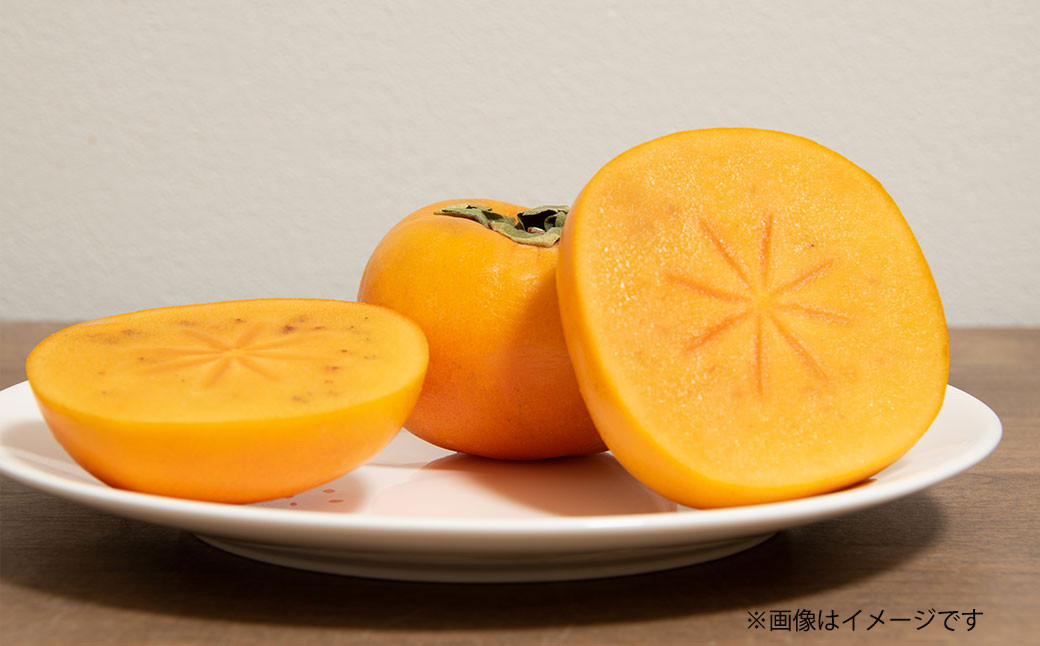 博多 秋王 8~12玉