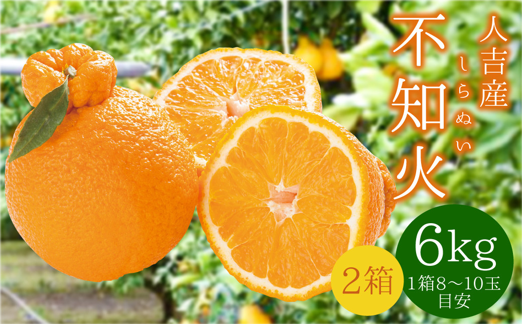 不知火 6kg