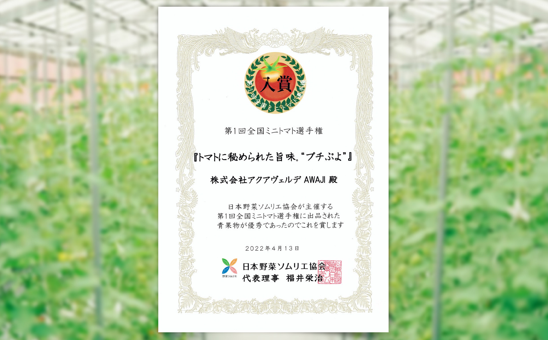 【アクアヴェルデAWAJI】旨味トマト　プチぷよ　60個