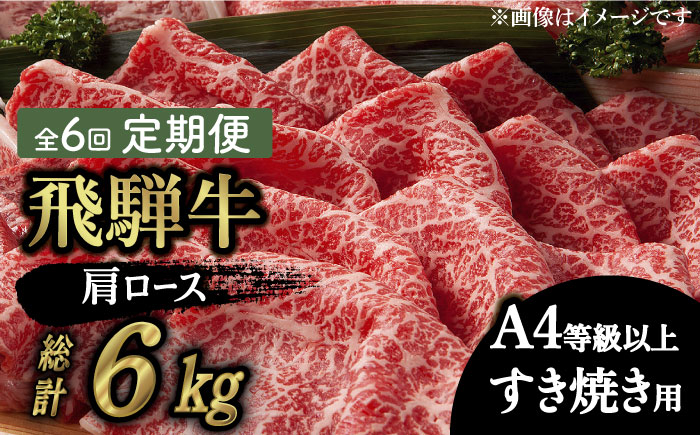 6回 定期便 飛騨牛 すき焼き用 ロース / 肩ロース 1kg