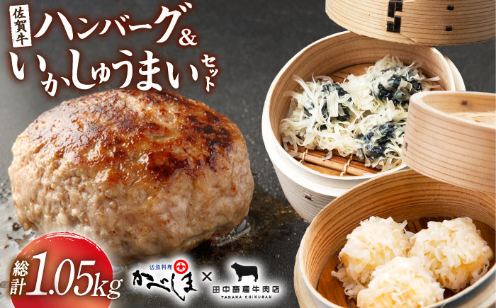 佐賀牛 ハンバーグ いか イカ しゅうまい 焼売 お惣菜 冷凍 加工品 牛肉 黒毛和牛 セット
