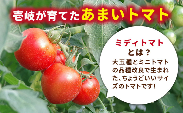 トマト とまと 甘い リピート 野菜 壱岐産 ミディトマト 朝食 常備品