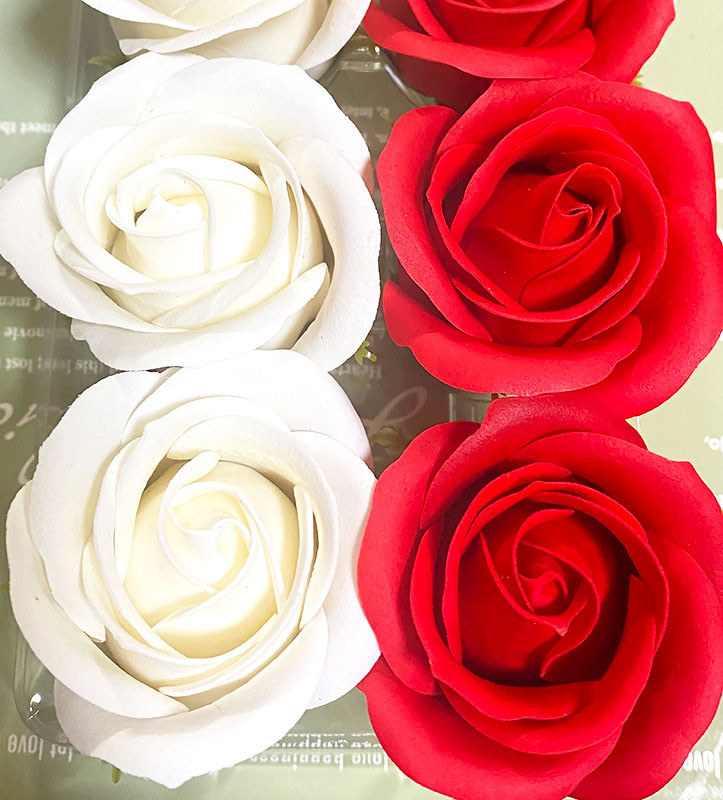 Flower balloon ( フラワー バルーン )  ソープ フラワー 5本 置き型タイプ 韓国 お花 贈り物