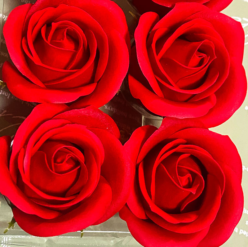 Flower balloon ( フラワー バルーン )  ソープ フラワー 5本 置き型タイプ 韓国 お花 贈り物