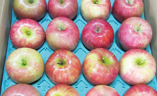 画像は箱詰めイメージです。