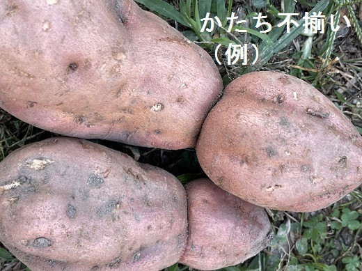 不揃いなかたち　一例