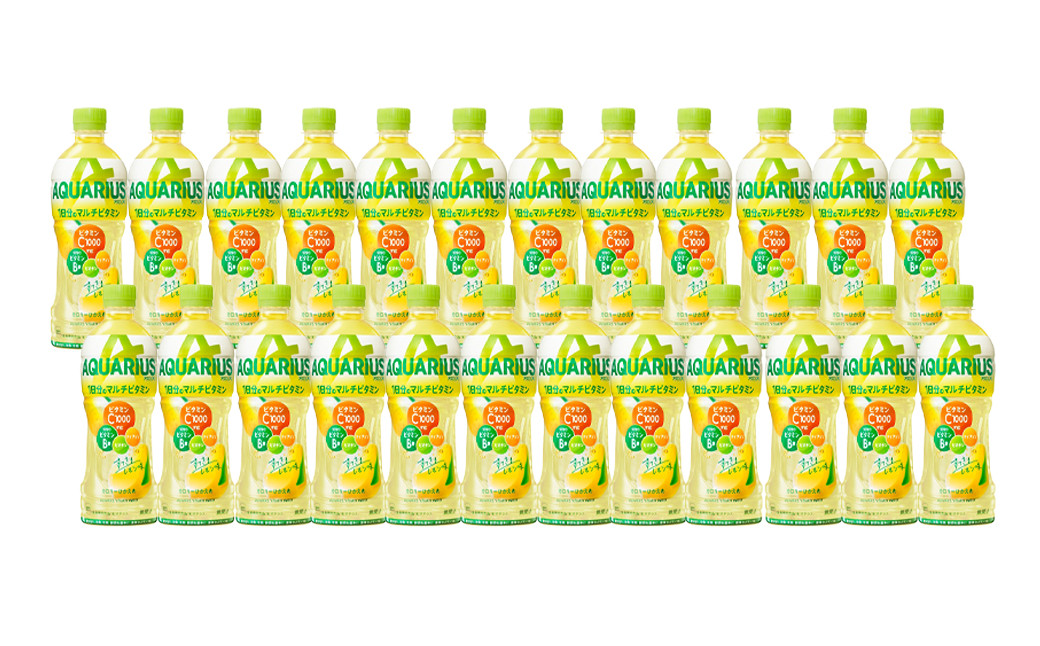 【3回定期便】 アクエリアス 1日分のマルチビタミン PET (500ml×24本)×1ケース