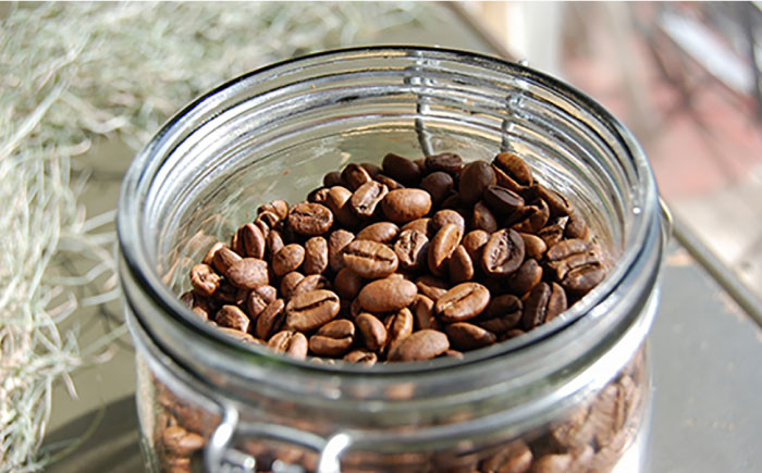 アイス コーヒー エチオピア ギフト 贈答 プレゼント ストレート