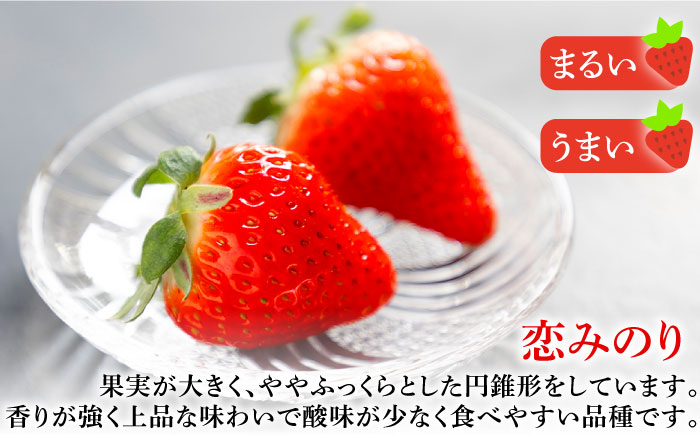  まとめ買い 人気 便利  贈り物 ギフト 食材  イチゴ 苺 フルーツ 果物