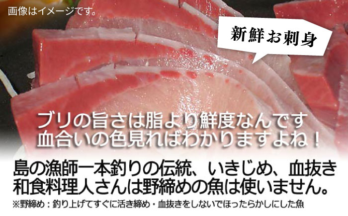 寒ブリ 寒ぶり 寒鰤 天然 おすすめ オススメ おいしい 美味しい