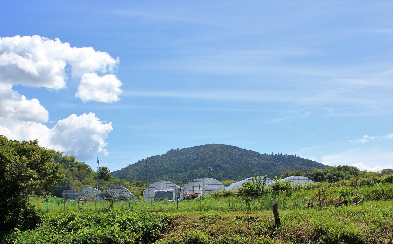 画像はイメージです。