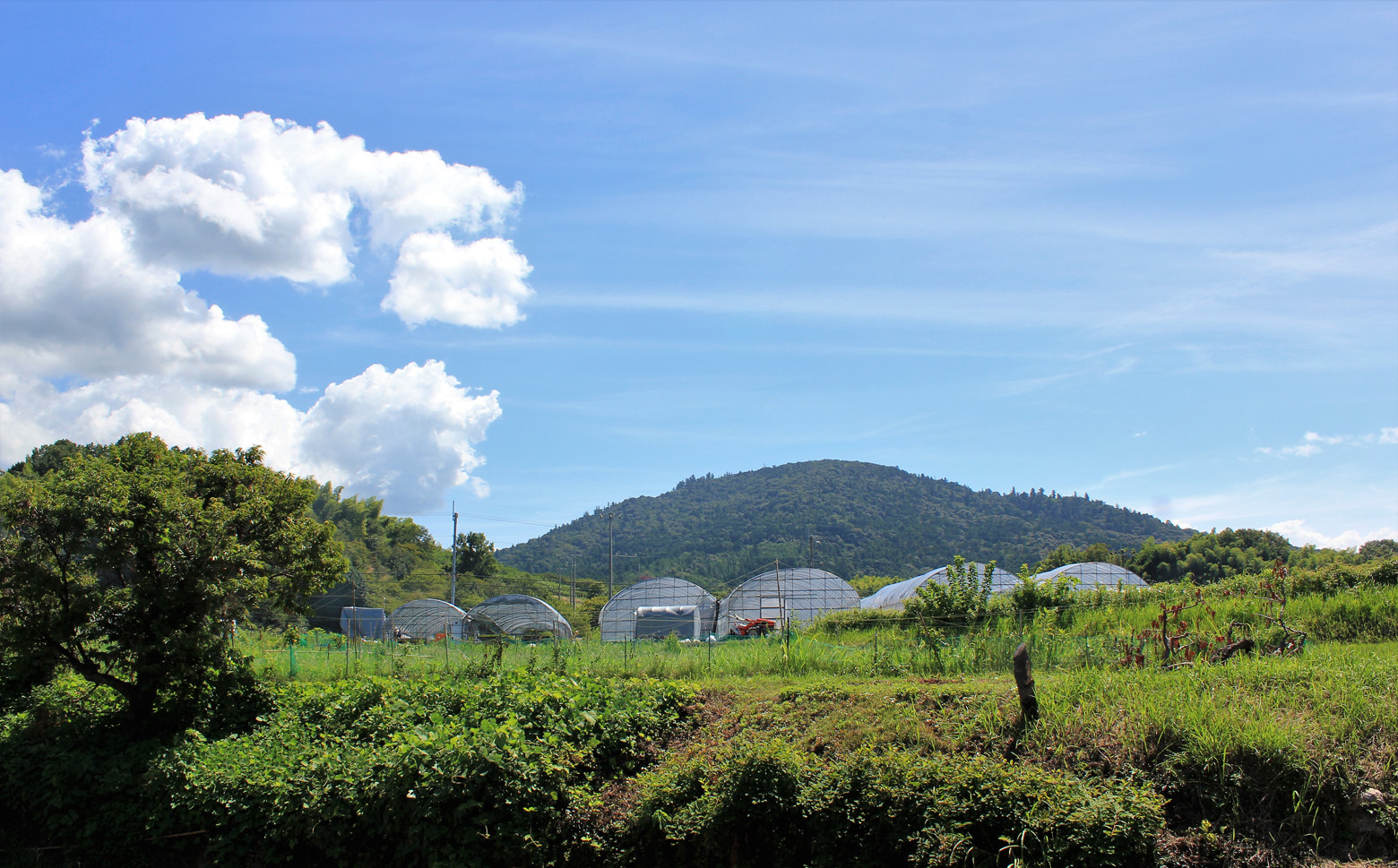 画像はイメージです。