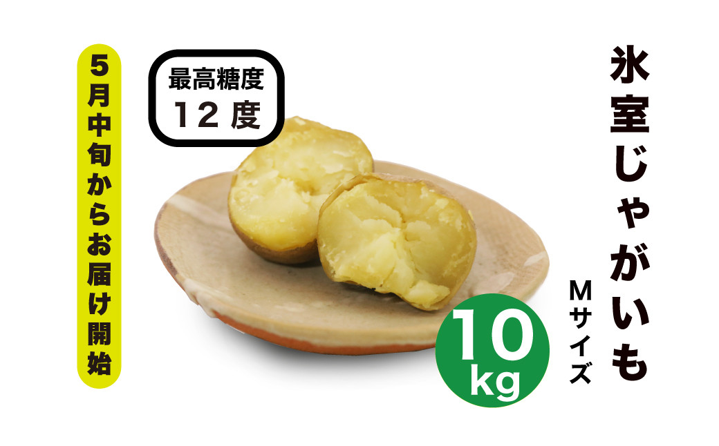 じゃがいも ジャガイモ 芋 メークイン 野菜