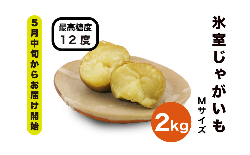 じゃがいも ジャガイモ 芋 メークイン 野菜