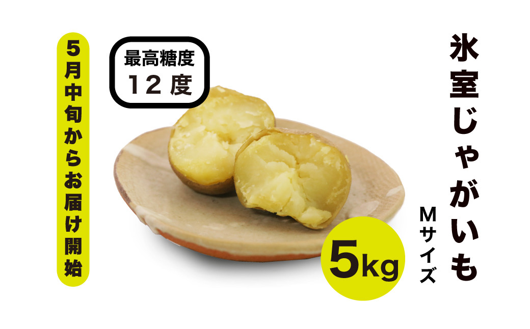 じゃがいも ジャガイモ 芋 メークイン 野菜