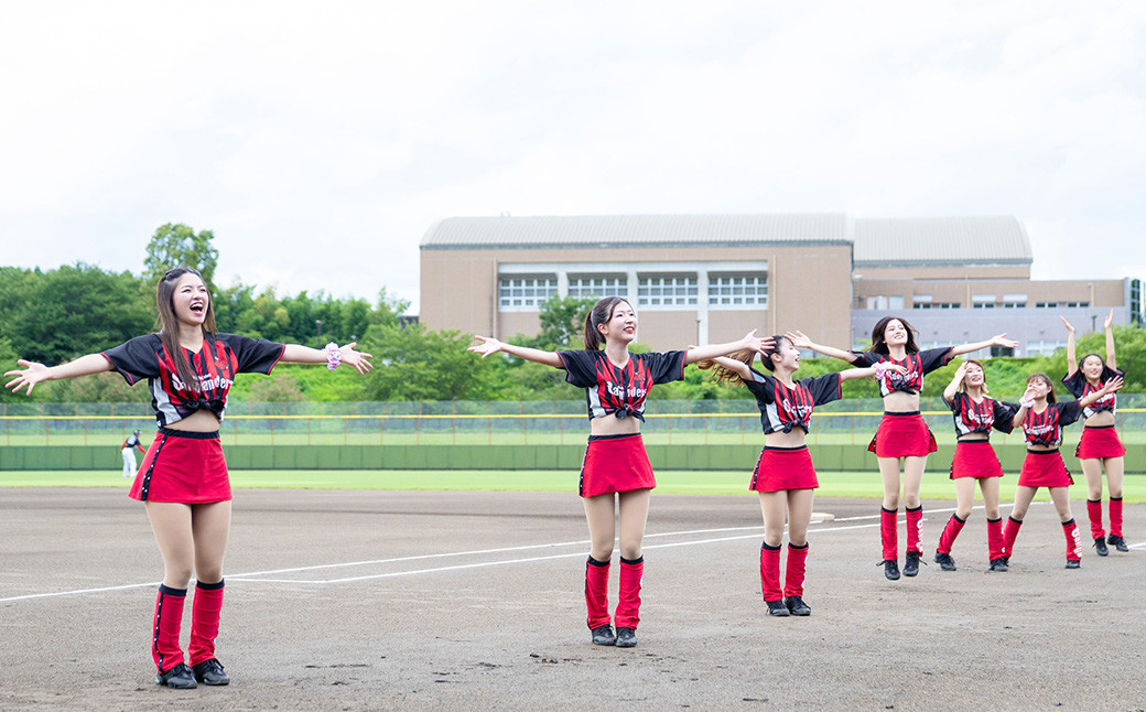 火の国サラマンダーズ 公式戦チケット30枚セット