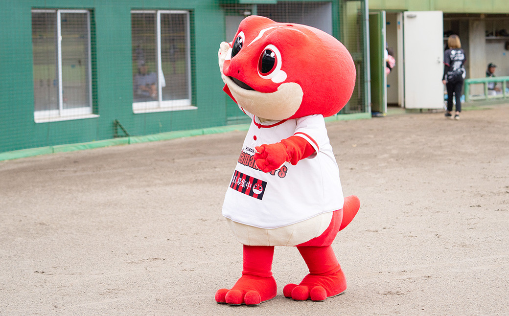 火の国サラマンダーズ 公式戦チケット30枚セット