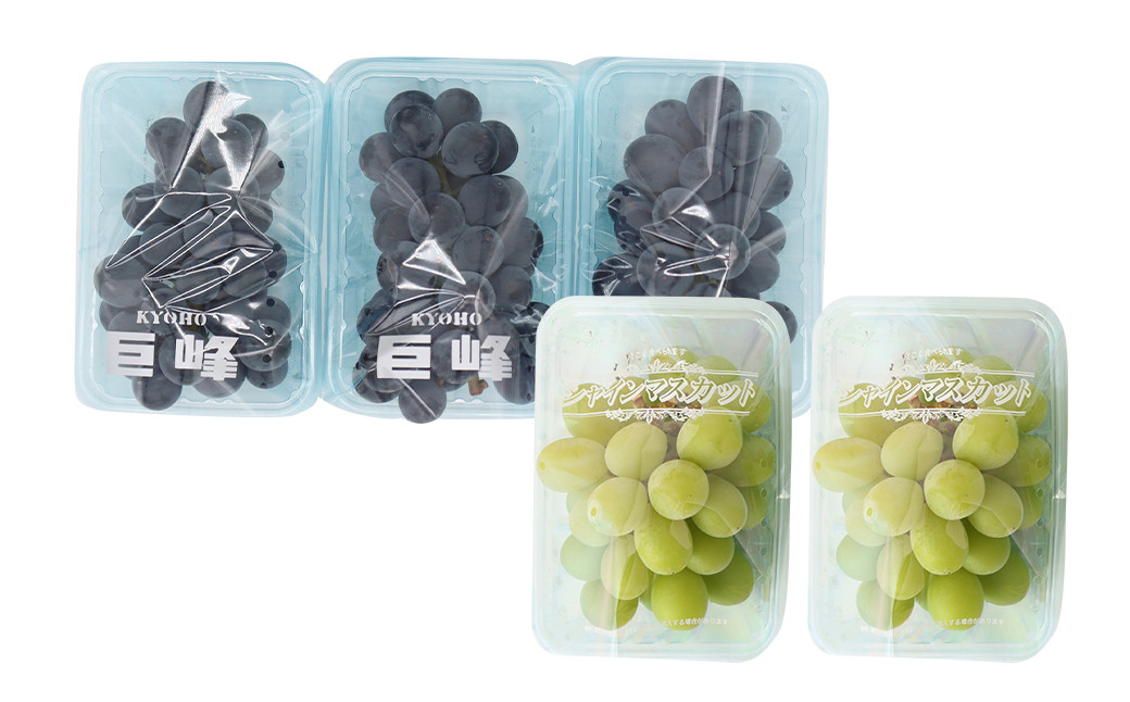 ご家庭用 旬のぶどう食べ比べ 完熟巨峰 シャインマスカット 詰め合わせ 計5パック 約1.5kg