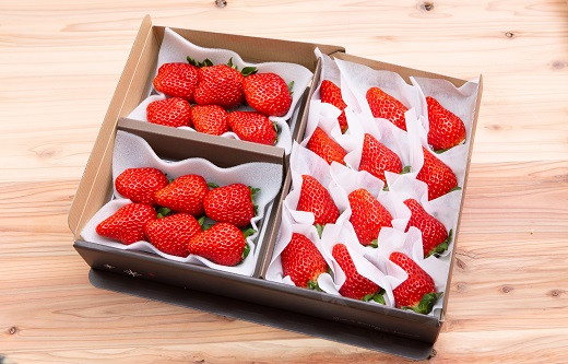 「ベリーズセット」（約450g×1、約180g×2）