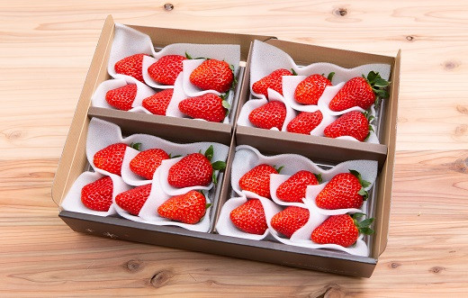 「スペシャルパック」（約180g×4）