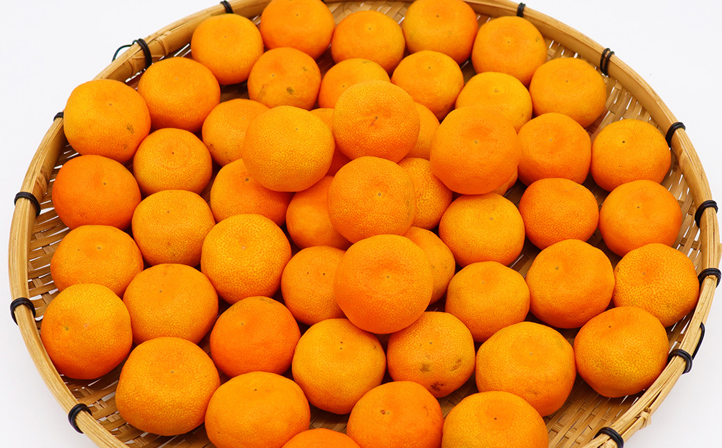 時津町特産 温州みかん 約5kg 糖度が高くなる時期のみお届け！【時期厳選】