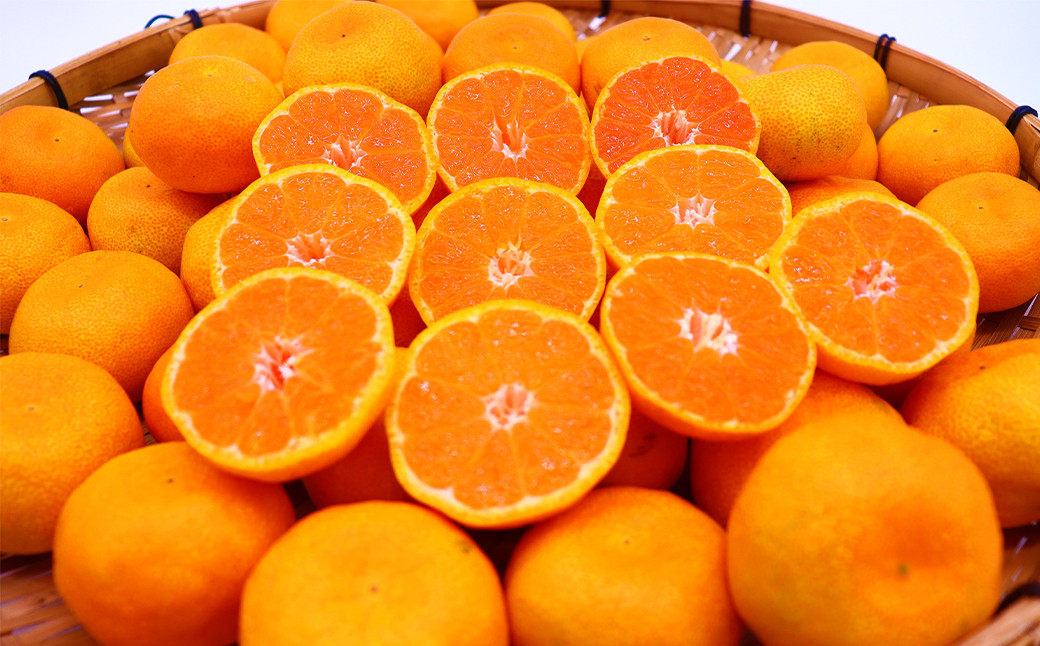 時津町特産 温州みかん 約5kg 糖度が高くなる時期のみお届け！【時期厳選】