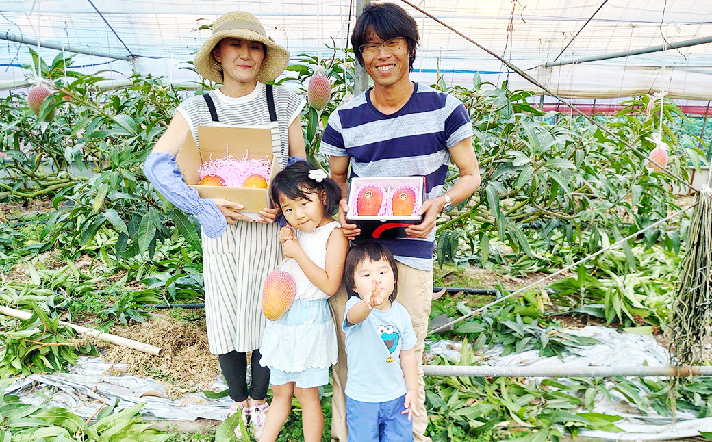 熊本県産 完熟マンゴー (化粧箱入) 3L（2玉入）