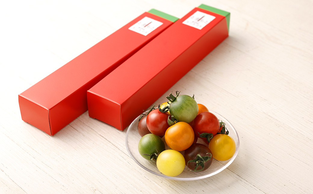 7色カラフルミニトマト 7粒×4箱 28粒