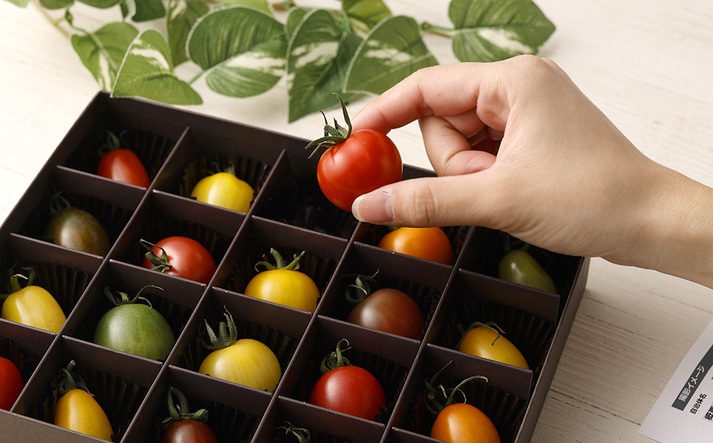 20色カラフルミニトマト 20粒