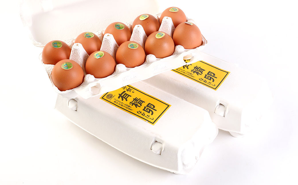 なかにし養鶏場の「平飼い有精卵」 30個 ※破損保証5個含む