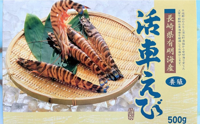 えび エビ 海老 車海老 活き 車えび 海鮮 魚介類 魚貝類