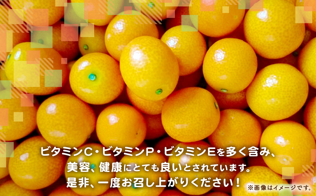 ＜完熟金柑たまたまエクセレント 2L 1キロ＞